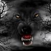 tommywolf750